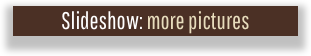 Slideshow: more pictures