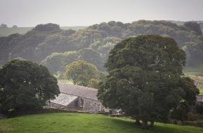 selside hall selsed cottage